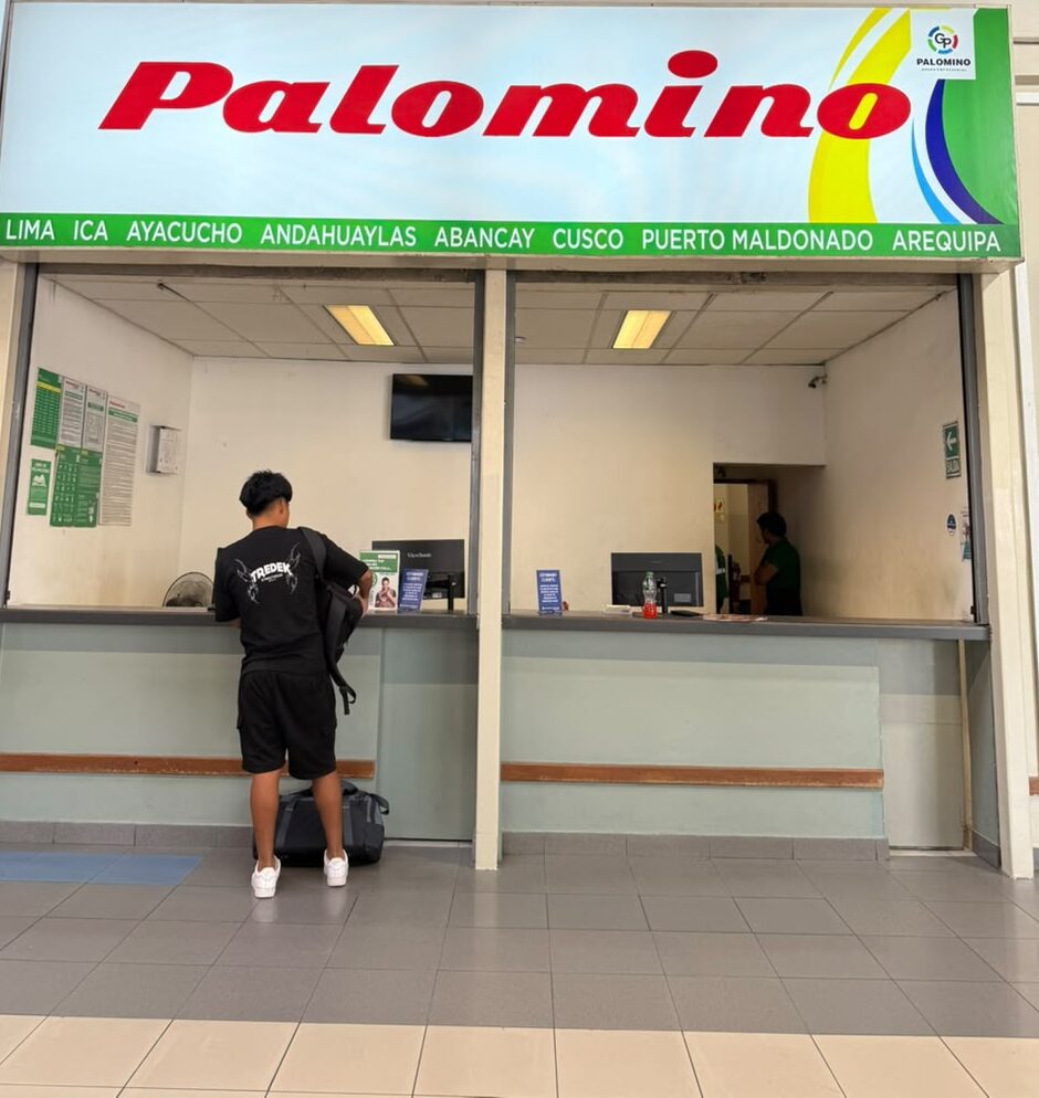 Internacional Palomino Bus - Terminal Plaza Norte